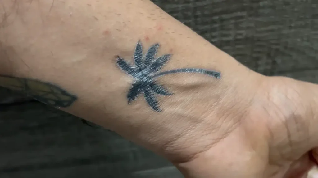 Do Tattoos Fade? Proven Tips to Keep Your Ink Bold and Vibrant 2 Do Tattoos Fade