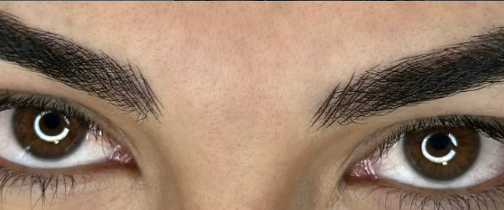 Powder Brows: A Flawless, Natural-Looking Microblading Alternative 3 powder brow