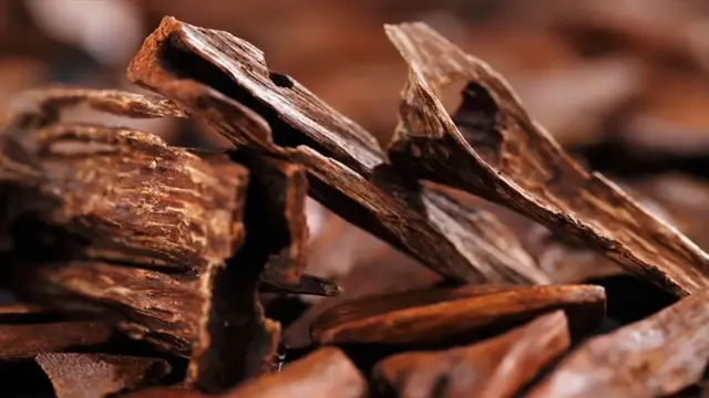 What Is Oud: A Deep Dive into Its History, Uses, and Luxurious Appeal 6 What Is Oud